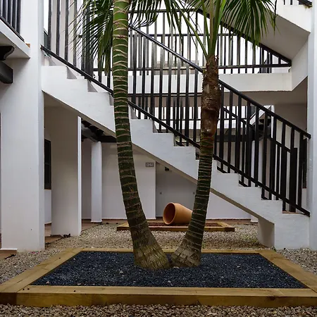 Seth Sa Mirada ארנל ד'אן קסטל